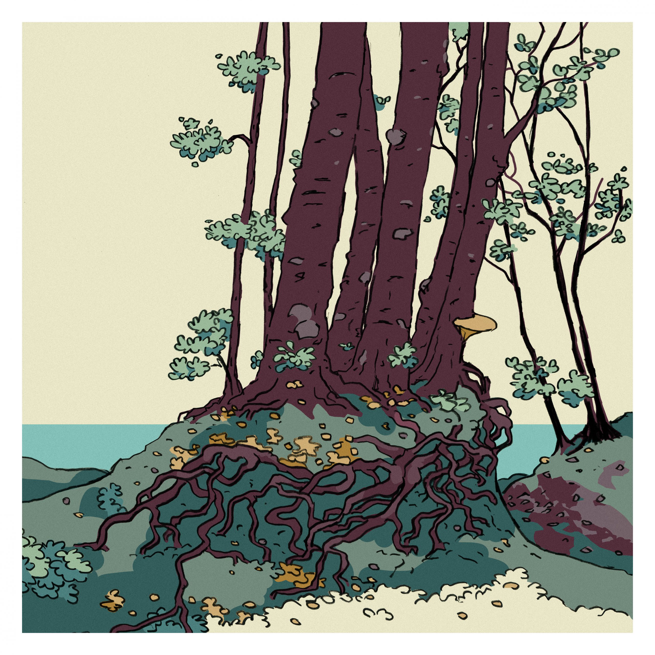 forest01